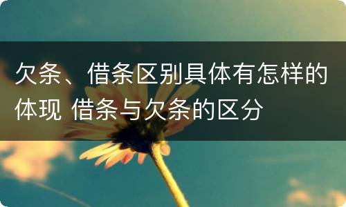 欠条、借条区别具体有怎样的体现 借条与欠条的区分