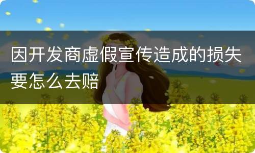 因开发商虚假宣传造成的损失要怎么去赔