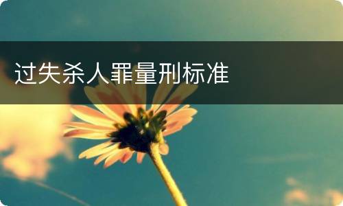 过失杀人罪量刑标准