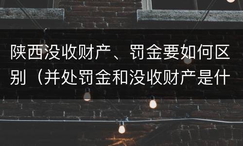 陕西没收财产、罚金要如何区别（并处罚金和没收财产是什么意思）