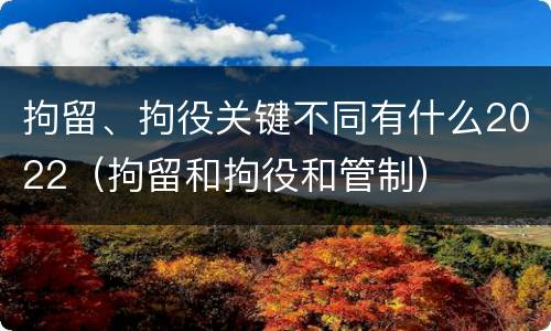 拘留、拘役关键不同有什么2022（拘留和拘役和管制）