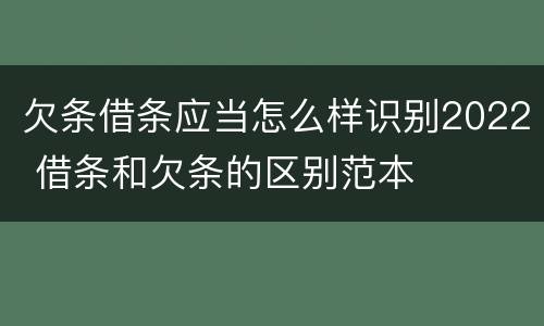 欠条借条应当怎么样识别2022 借条和欠条的区别范本