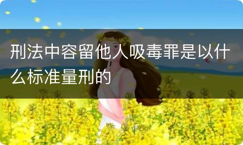 刑法中容留他人吸毒罪是以什么标准量刑的