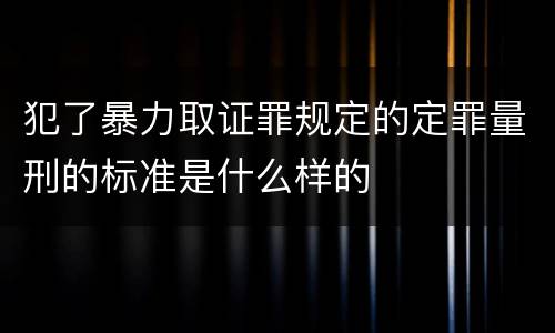 犯了暴力取证罪规定的定罪量刑的标准是什么样的