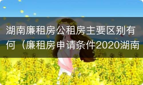 湖南廉租房公租房主要区别有何（廉租房申请条件2020湖南）