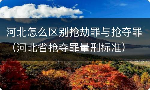 河北怎么区别抢劫罪与抢夺罪（河北省抢夺罪量刑标准）