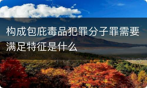 构成包庇毒品犯罪分子罪需要满足特征是什么