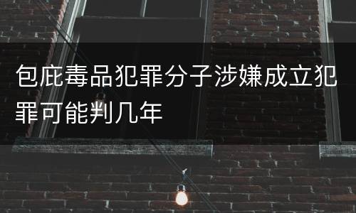 包庇毒品犯罪分子涉嫌成立犯罪可能判几年