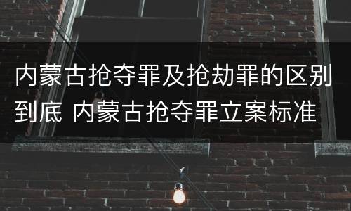 内蒙古抢夺罪及抢劫罪的区别到底 内蒙古抢夺罪立案标准