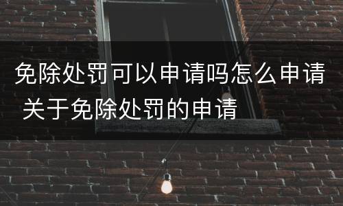 免除处罚可以申请吗怎么申请 关于免除处罚的申请