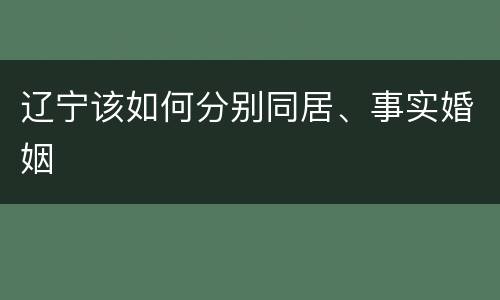 辽宁该如何分别同居、事实婚姻