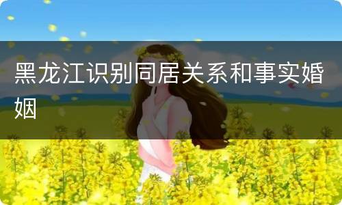 黑龙江识别同居关系和事实婚姻