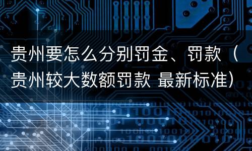 贵州要怎么分别罚金、罚款（贵州较大数额罚款 最新标准）