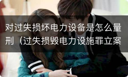 对过失损坏电力设备是怎么量刑（过失损毁电力设施罪立案标准）