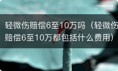 轻微伤赔偿6至10万吗（轻微伤赔偿6至10万都包括什么费用）