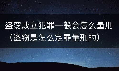 盗窃成立犯罪一般会怎么量刑（盗窃是怎么定罪量刑的）