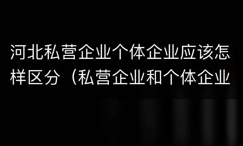 河北私营企业个体企业应该怎样区分（私营企业和个体企业的区别）