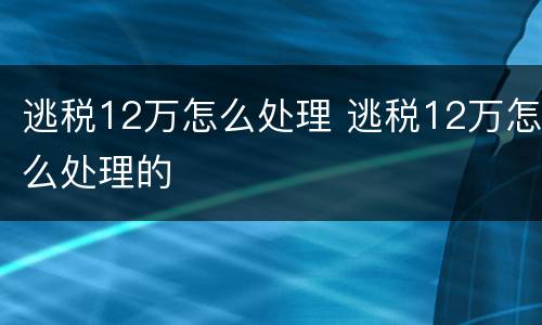 逃税12万怎么处理 逃税12万怎么处理的