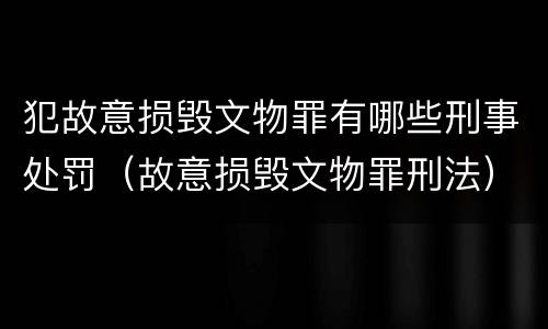 犯故意损毁文物罪有哪些刑事处罚（故意损毁文物罪刑法）