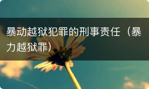 暴动越狱犯罪的刑事责任（暴力越狱罪）