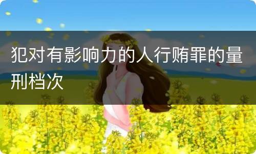 犯对有影响力的人行贿罪的量刑档次