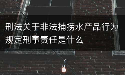 刑法关于非法捕捞水产品行为规定刑事责任是什么