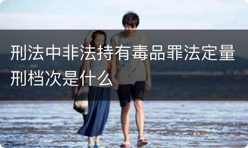 刑法中非法持有毒品罪法定量刑档次是什么