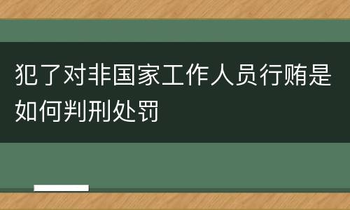 犯了对非国家工作人员行贿是如何判刑处罚