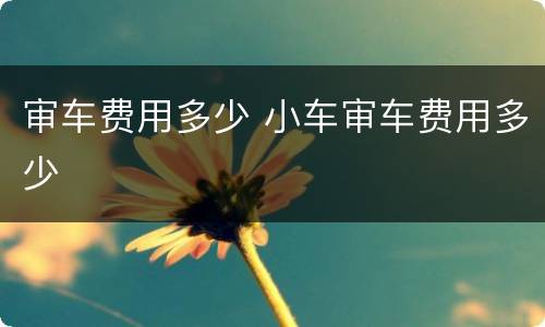 审车费用多少 小车审车费用多少