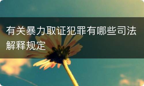 有关暴力取证犯罪有哪些司法解释规定