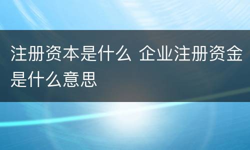 注册资本是什么 企业注册资金是什么意思