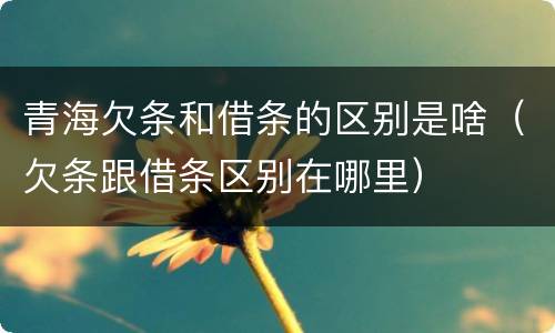 青海欠条和借条的区别是啥（欠条跟借条区别在哪里）