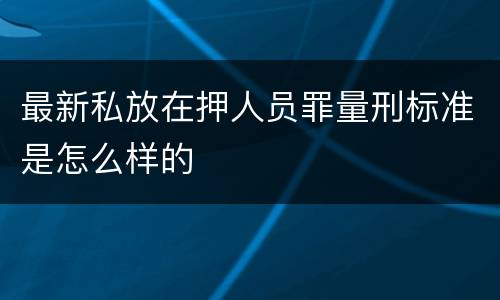 最新私放在押人员罪量刑标准是怎么样的