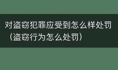 对盗窃犯罪应受到怎么样处罚（盗窃行为怎么处罚）