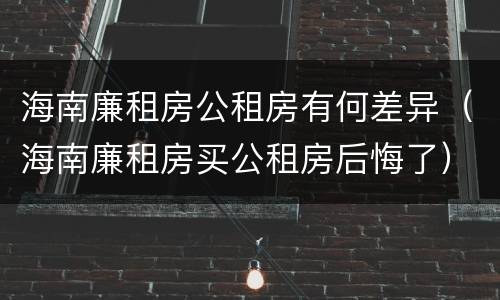 海南廉租房公租房有何差异（海南廉租房买公租房后悔了）