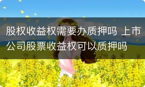 股权收益权需要办质押吗 上市公司股票收益权可以质押吗