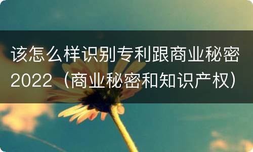 该怎么样识别专利跟商业秘密2022（商业秘密和知识产权）