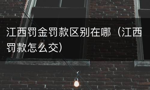 江西罚金罚款区别在哪（江西罚款怎么交）