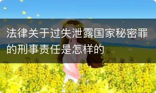 法律关于过失泄露国家秘密罪的刑事责任是怎样的