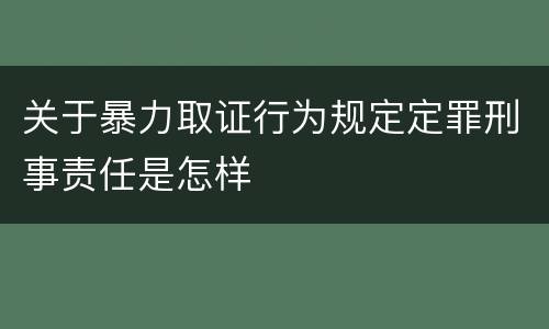 关于暴力取证行为规定定罪刑事责任是怎样