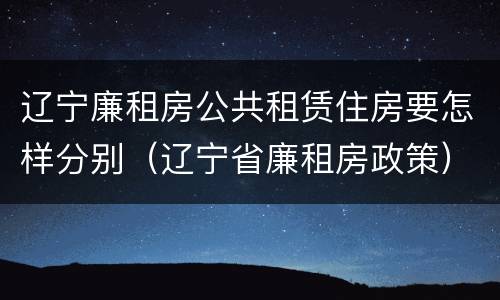 辽宁廉租房公共租赁住房要怎样分别（辽宁省廉租房政策）