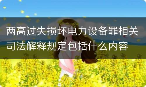 两高过失损坏电力设备罪相关司法解释规定包括什么内容