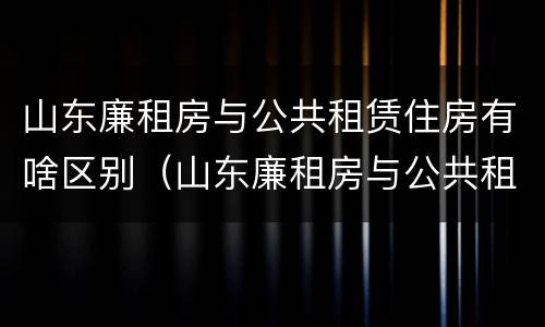 山东廉租房与公共租赁住房有啥区别（山东廉租房与公共租赁住房有啥区别呢）