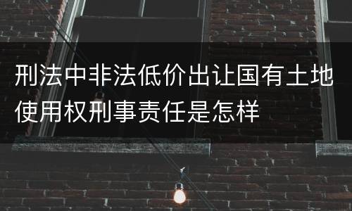 刑法中非法低价出让国有土地使用权刑事责任是怎样
