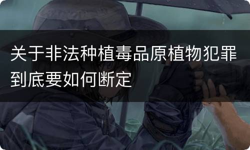 关于非法种植毒品原植物犯罪到底要如何断定
