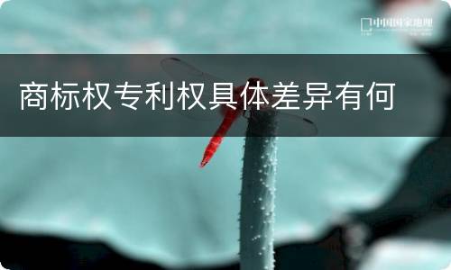 商标权专利权具体差异有何