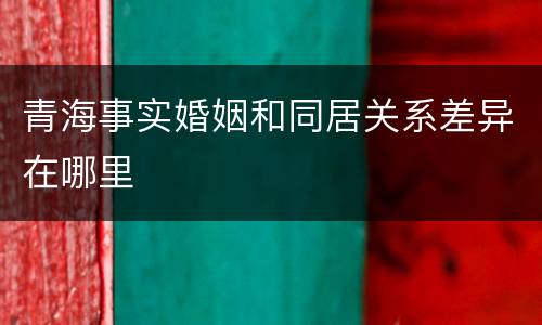 青海事实婚姻和同居关系差异在哪里