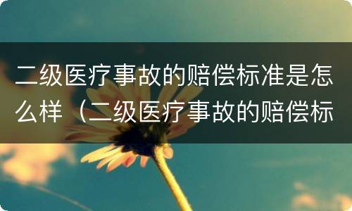 二级医疗事故的赔偿标准是怎么样（二级医疗事故的赔偿标准是怎么样的）