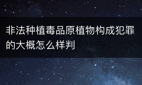 非法种植毒品原植物构成犯罪的大概怎么样判