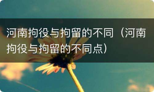 河南拘役与拘留的不同（河南拘役与拘留的不同点）